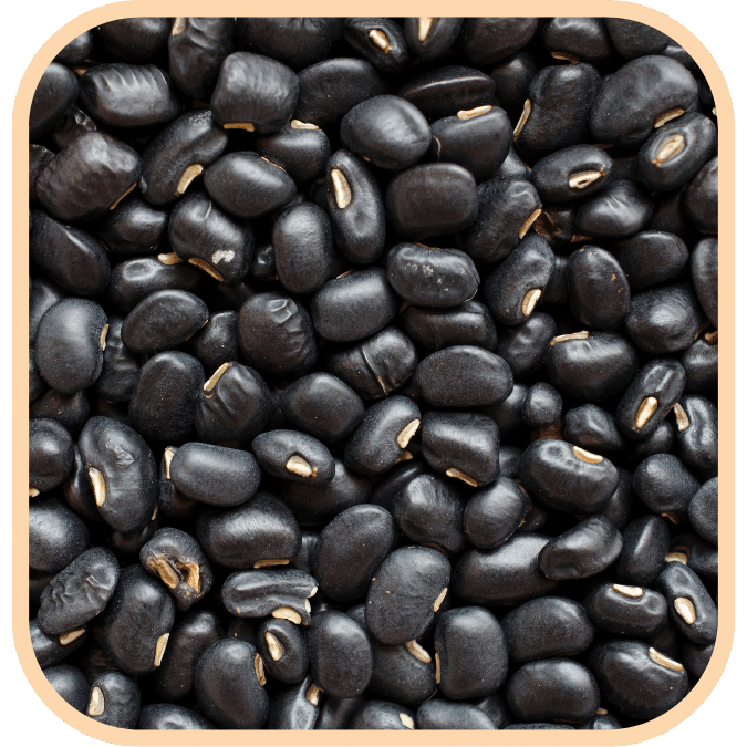 (image for) Black Beans